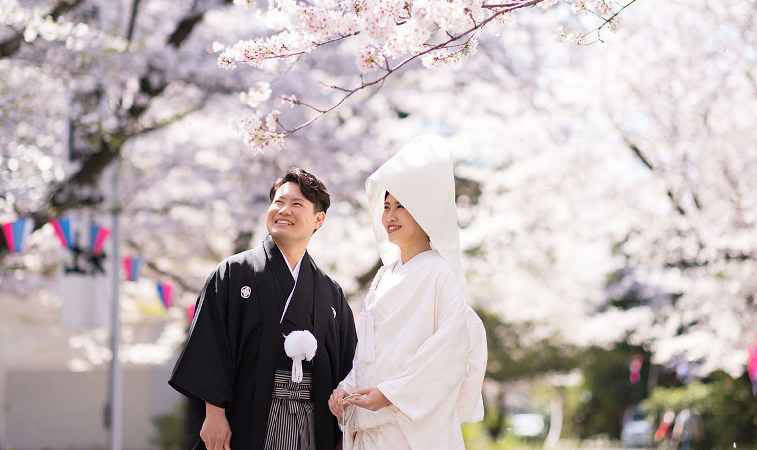 愛知縣護國神社：結婚式（本殿神前挙式）桜